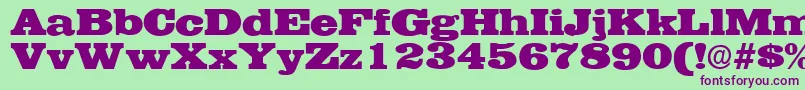 EgyptianRegularDb Font – Purple Fonts on Green Background