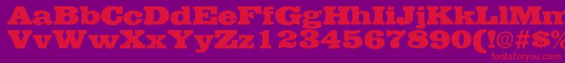 EgyptianRegularDb Font – Red Fonts on Purple Background