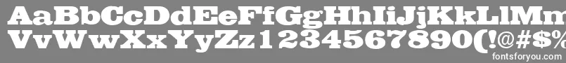 フォントEgyptianRegularDb – 灰色の背景に白い文字