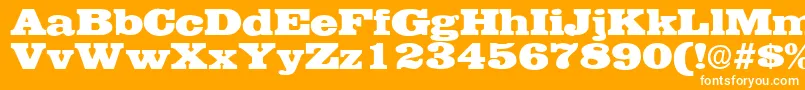 フォントEgyptianRegularDb – オレンジの背景に白い文字