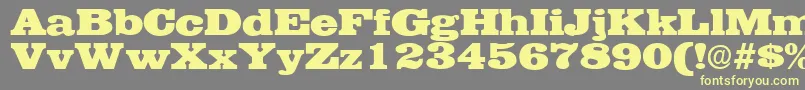 EgyptianRegularDb Font – Yellow Fonts on Gray Background