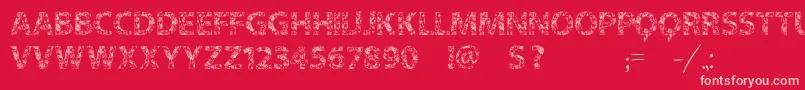 fuente Vtksflowersinoursoul – Fuentes Rosadas Sobre Fondo Rojo