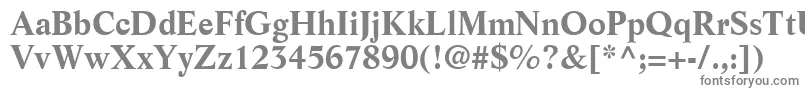 More about ResourceSsiBold Font ResourceSsiBold Font – Gray Fonts on White Background