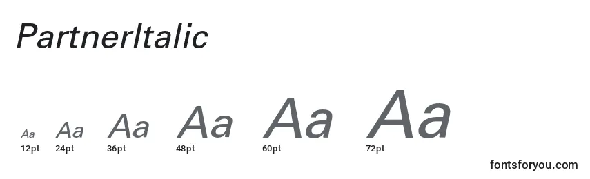 PartnerItalic Font Sizes