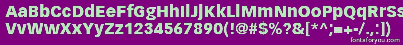 VectoraLt95Black Font – Green Fonts on Purple Background