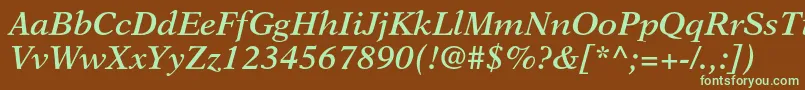 NewasterltstdSemiboldit Font – Green Fonts on Brown Background
