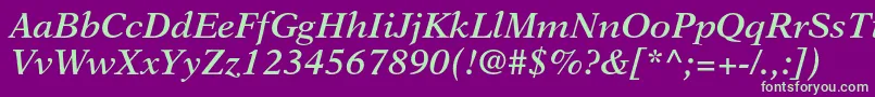 NewasterltstdSemiboldit Font – Green Fonts on Purple Background