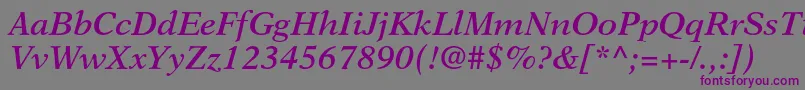フォントNewasterltstdSemiboldit – 紫色のフォント、灰色の背景