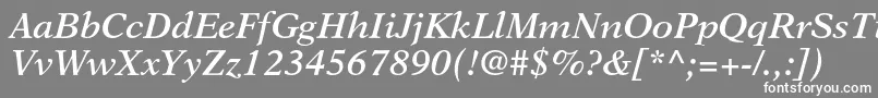 フォントNewasterltstdSemiboldit – 灰色の背景に白い文字