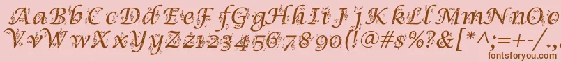 Police Symphony – polices brunes sur fond rose