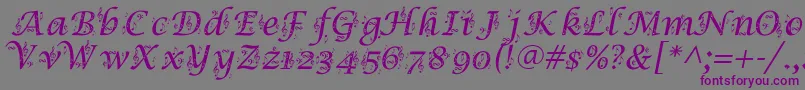 Symphony Font – Purple Fonts on Gray Background