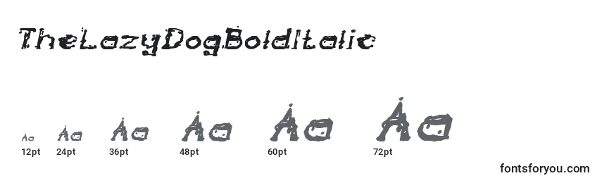 Größen der Schriftart TheLazyDogBoldItalic