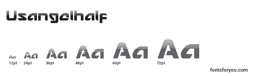 Usangelhalf Font Sizes