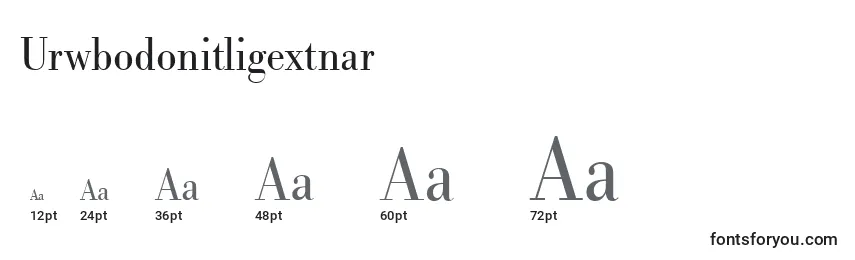 Размеры шрифта Urwbodonitligextnar