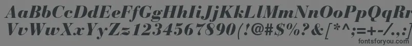 フォントBauerbodonistdBlackitalic – 黒い文字の灰色の背景