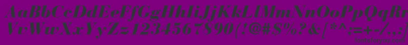 BauerbodonistdBlackitalic Font – Black Fonts on Purple Background