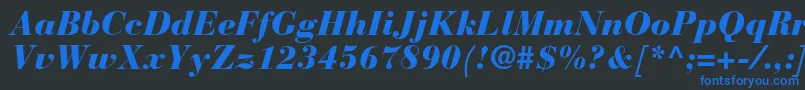 BauerbodonistdBlackitalic Font – Blue Fonts on Black Background
