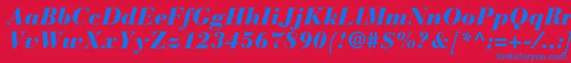 BauerbodonistdBlackitalic Font – Blue Fonts on Red Background