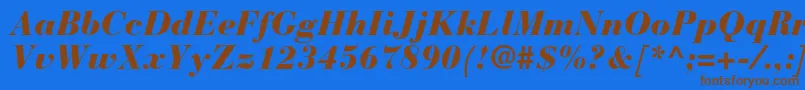 BauerbodonistdBlackitalic Font – Brown Fonts on Blue Background