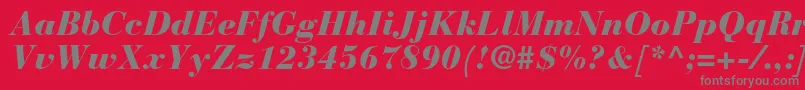 BauerbodonistdBlackitalic Font – Gray Fonts on Red Background