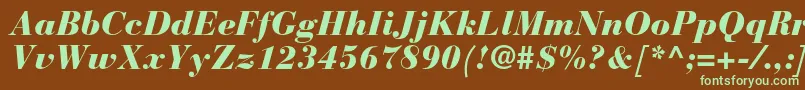 BauerbodonistdBlackitalic Font – Green Fonts on Brown Background