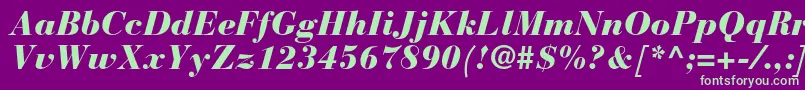 BauerbodonistdBlackitalic Font – Green Fonts on Purple Background