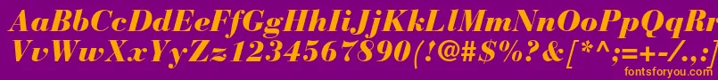 BauerbodonistdBlackitalic Font – Orange Fonts on Purple Background