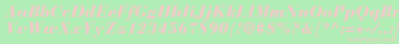 BauerbodonistdBlackitalic Font – Pink Fonts on Green Background