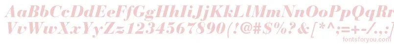 BauerbodonistdBlackitalic Font – Pink Fonts on White Background