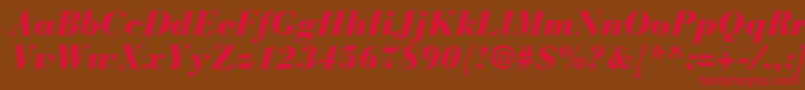 BauerbodonistdBlackitalic Font – Red Fonts on Brown Background