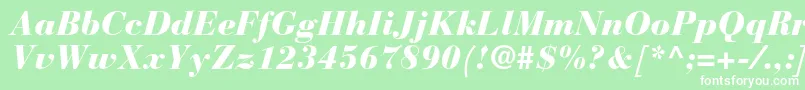 BauerbodonistdBlackitalic Font – White Fonts on Green Background