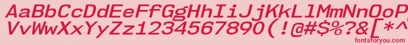 Nk57MonospaceSeSbIt Font – Red Fonts on Pink Background