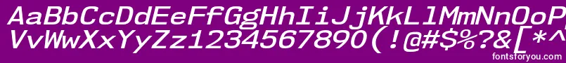 Nk57MonospaceSeSbIt Font – White Fonts on Purple Background