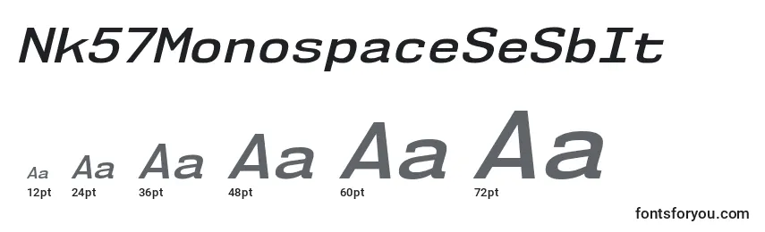 Размеры шрифта Nk57MonospaceSeSbIt