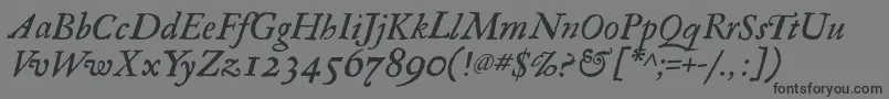 RegulaItalic Font – Black Fonts on Gray Background