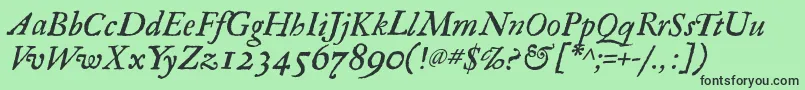 RegulaItalic Font – Black Fonts on Green Background