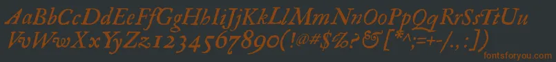 Police RegulaItalic – polices brunes sur fond noir