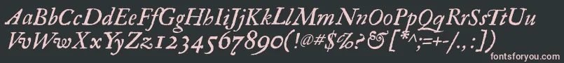 RegulaItalic Font – Pink Fonts on Black Background