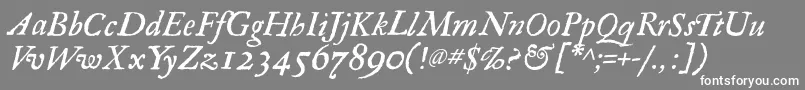 フォントRegulaItalic – 灰色の背景に白い文字