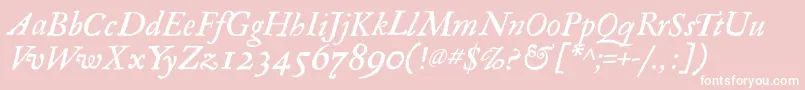 RegulaItalic Font – White Fonts on Pink Background