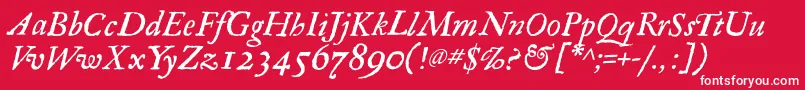フォントRegulaItalic – 赤い背景に白い文字