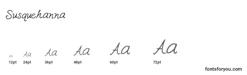 Susquehanna Font Sizes