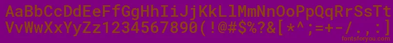 RobotomonoMedium Font – Brown Fonts on Purple Background