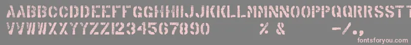 ArabicaExport Font – Pink Fonts on Gray Background
