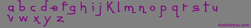 Czcionka ContempoJungleMinuet – fioletowe czcionki na szarym tle