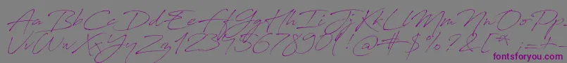 AntroVectra-Schriftart – Violette Schriften auf grauem Hintergrund
