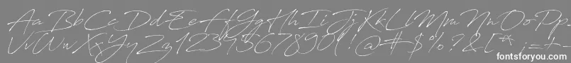 フォントAntroVectra – 灰色の背景に白い文字