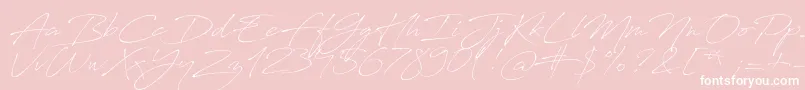 AntroVectra-Schriftart – Weiße Schriften auf rosa Hintergrund