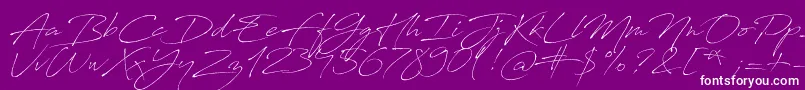 AntroVectra-Schriftart – Weiße Schriften auf violettem Hintergrund