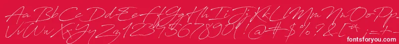 AntroVectra-Schriftart – Weiße Schriften auf rotem Hintergrund